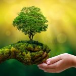 environment-earth-day-hands-trees-growing-seedlings-bokeh-green-background-female-hand-holding-tree-nature-field-gra-130247647